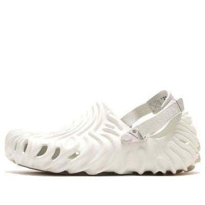 Crocs Pollex (Salem Belbury)