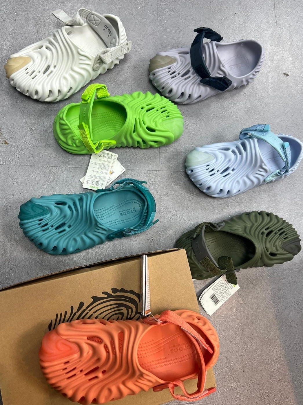 Crocs Pollex (Salem Belbury)